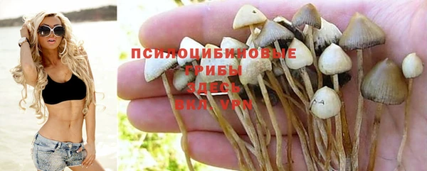 марки nbome Медногорск
